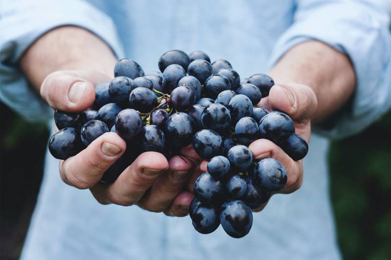 Adresse d’une bonne cave pour acheter du vin bio et nature à emporter à Toulouse